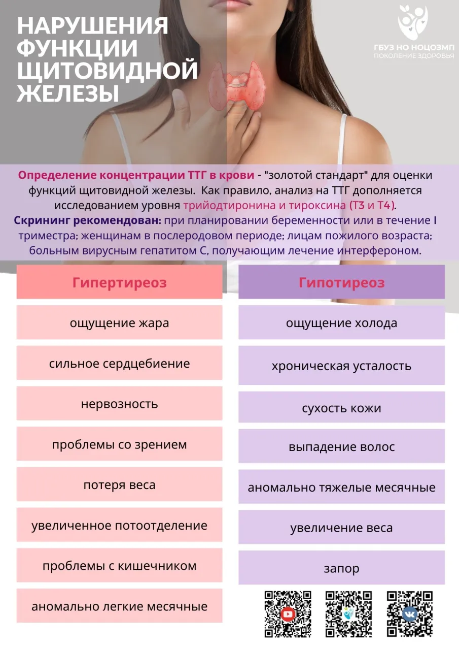 Регулятор работы всех внутренних органов